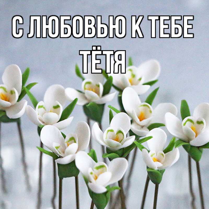 Картинка С любовью к тебе, Тётя