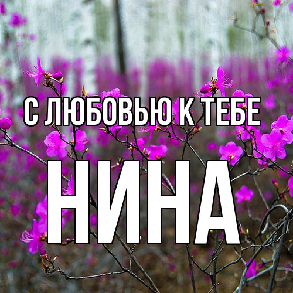 Открытка  с именем. Нина, С любовью к тебе  