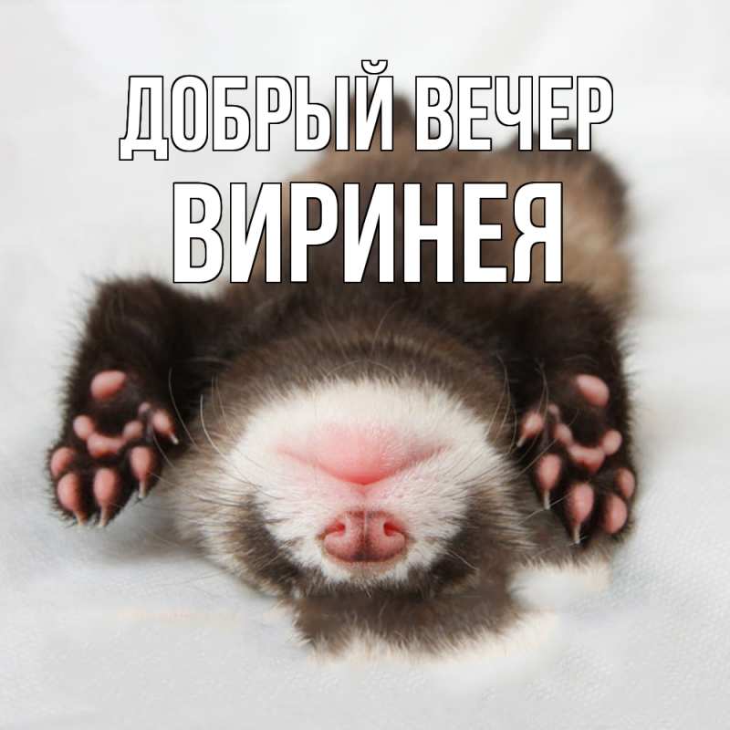 Картинка Добрый вечер, Виринея