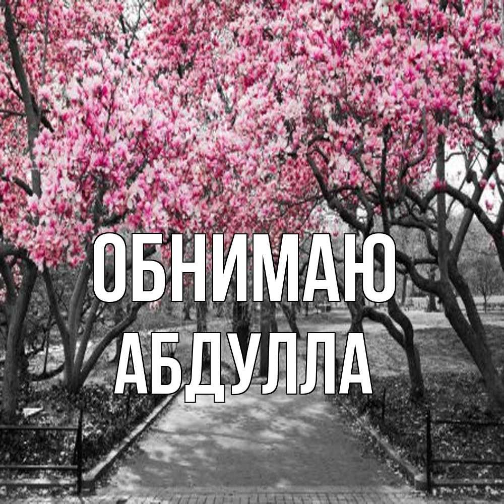 Открытка  с именем. Абдулла, Обнимаю  