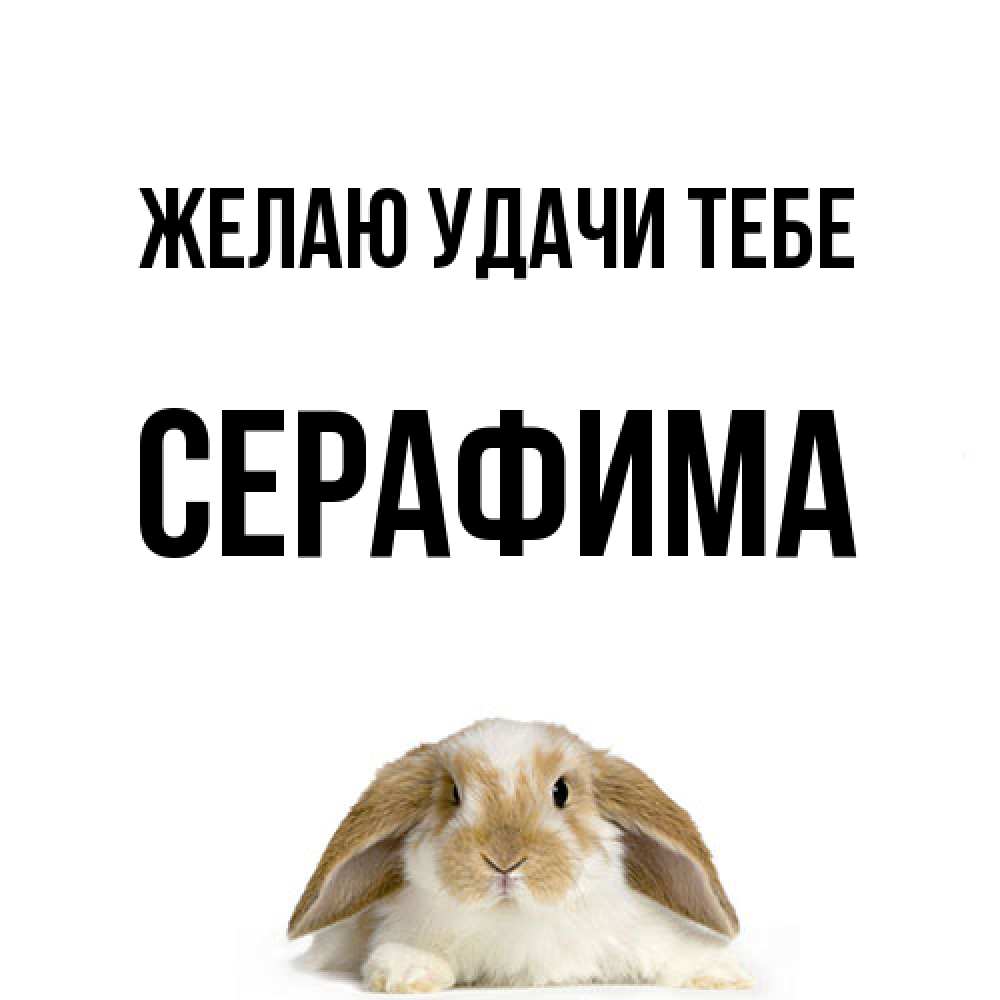 Открытка  с именем. Серафима, Желаю удачи тебе  