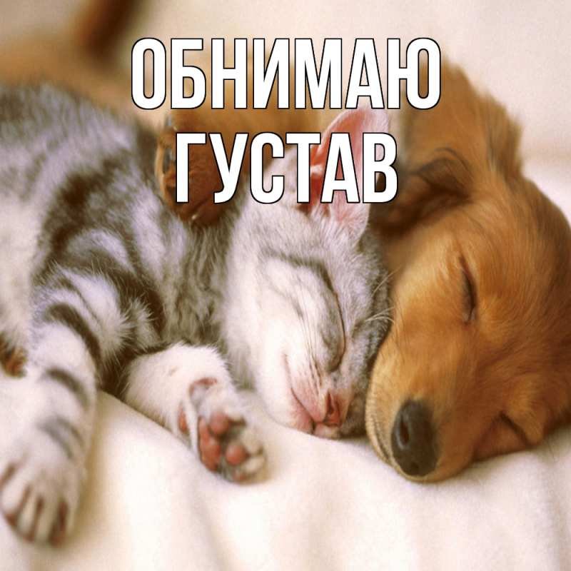 Картинка Обнимаю, Густав