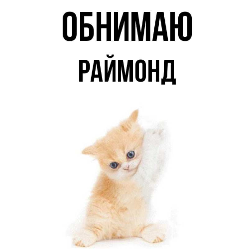 Картинка Обнимаю, Раймонд