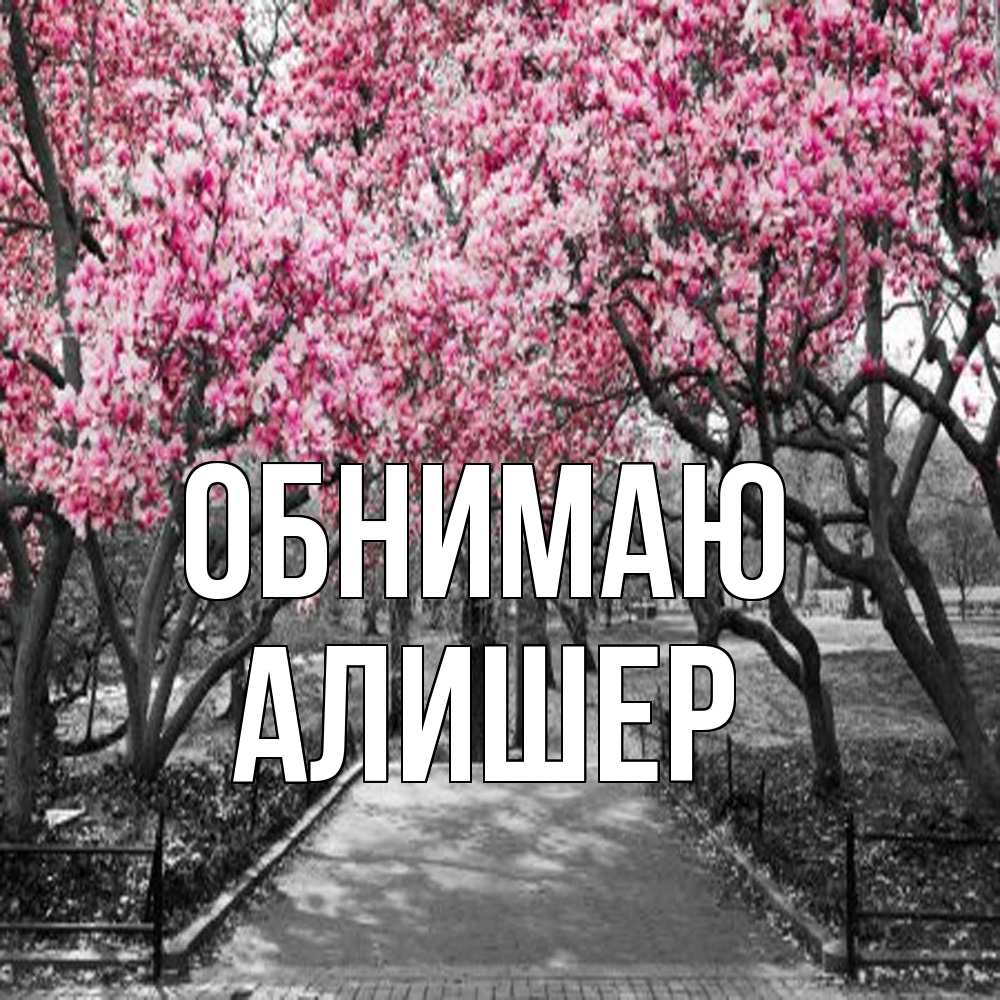 Открытка  с именем. Алишер, Обнимаю  