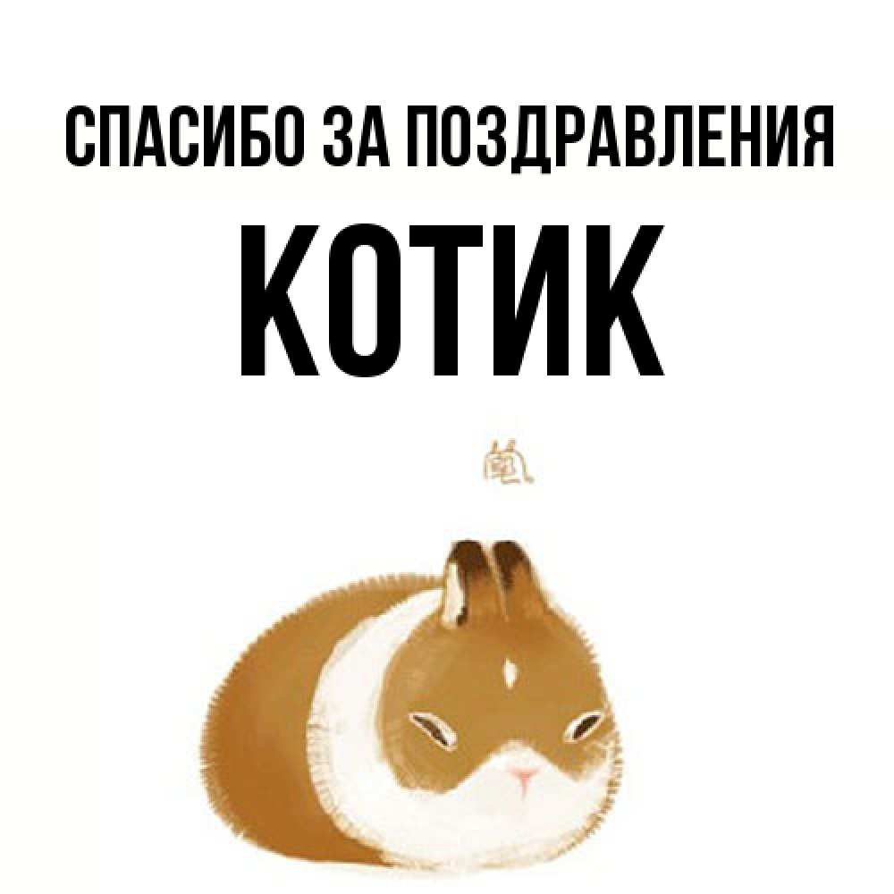 Открытка  с именем. КОТИК, Спасибо за поздравления  