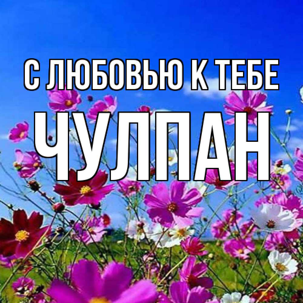 Открытка  с именем. Чулпан, С любовью к тебе  