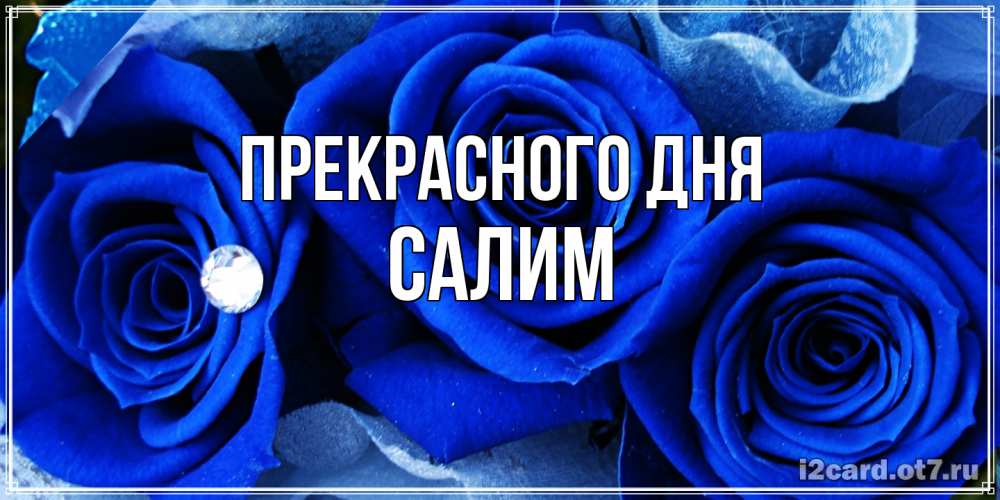 Открытка  с именем. Салим, Прекрасного дня  