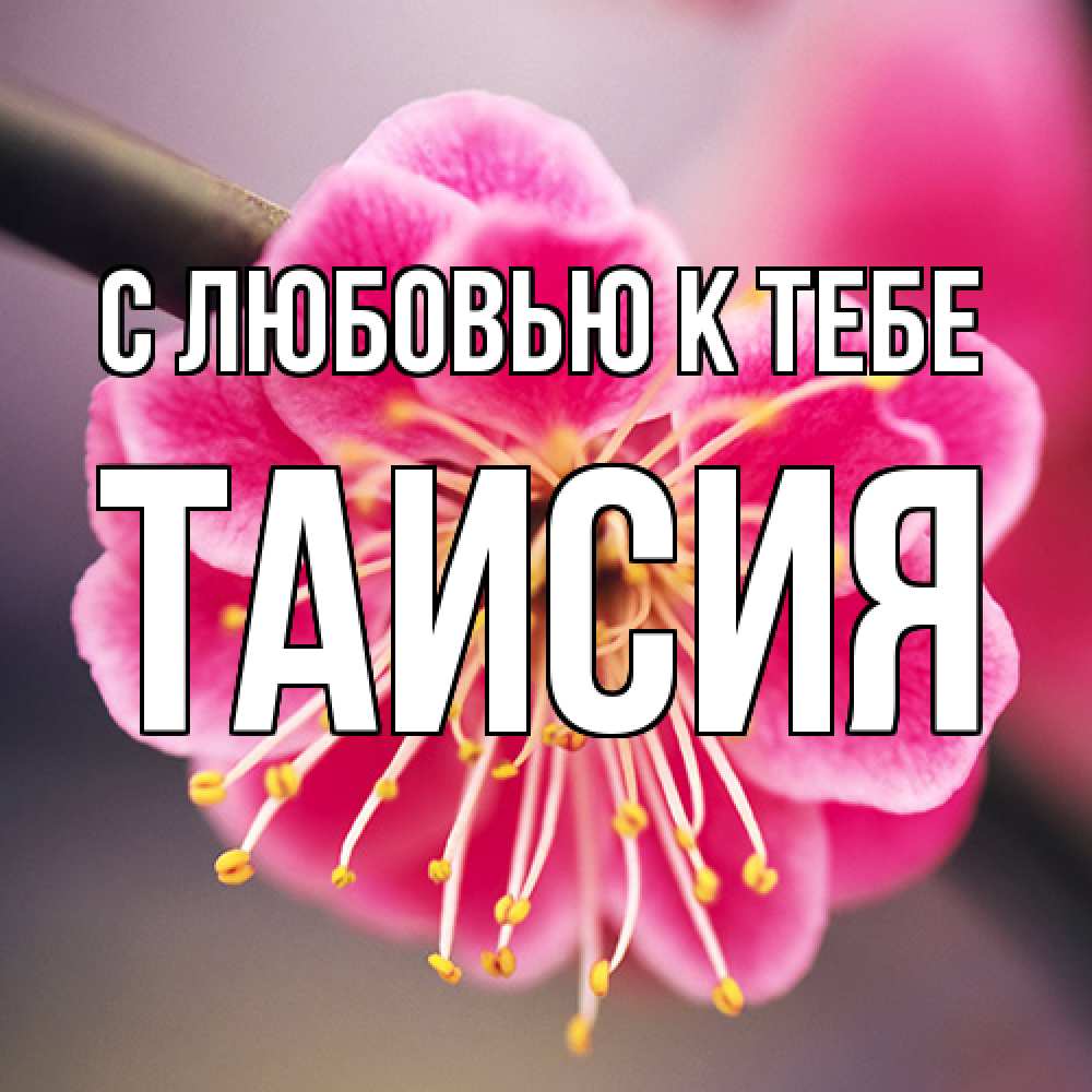 Открытка  с именем. Таисия, С любовью к тебе  
