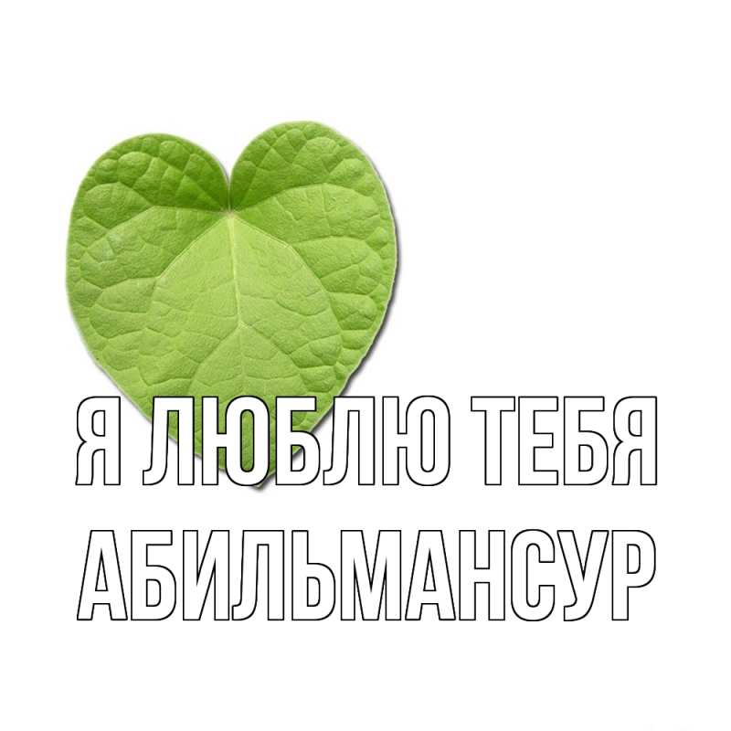 Картинка Я люблю тебя, Абильмансур