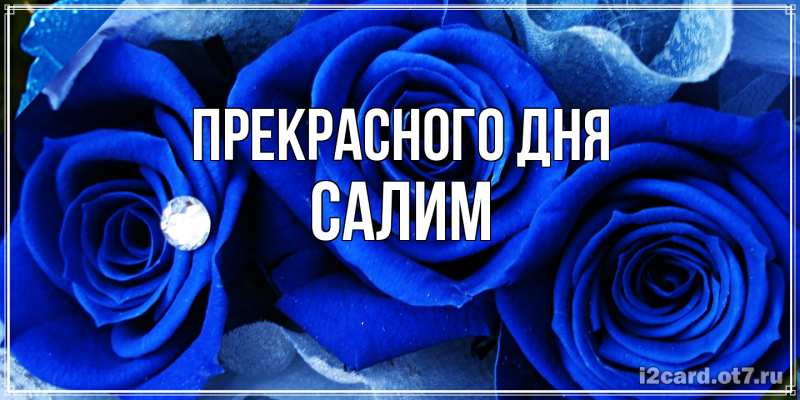 Картинка Прекрасного дня, Салим