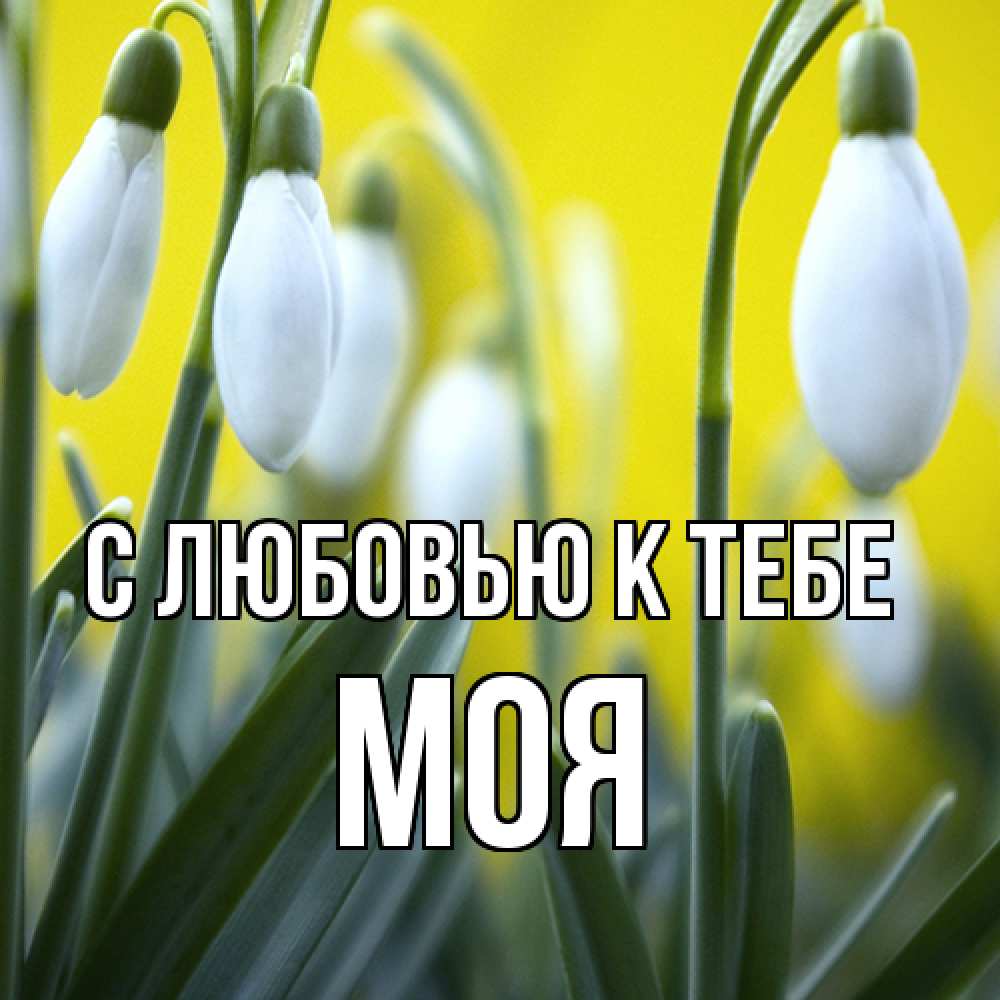 Открытка  с именем. Моя, С любовью к тебе  