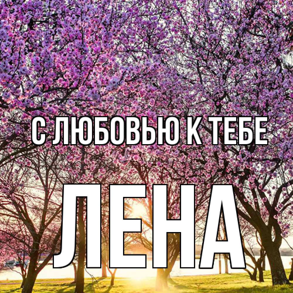 Открытка  с именем. лена, С любовью к тебе  