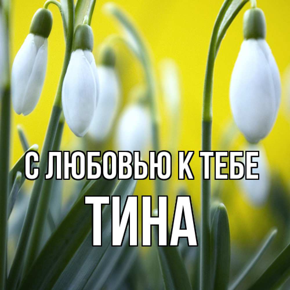 Открытка  с именем. Тина, С любовью к тебе  