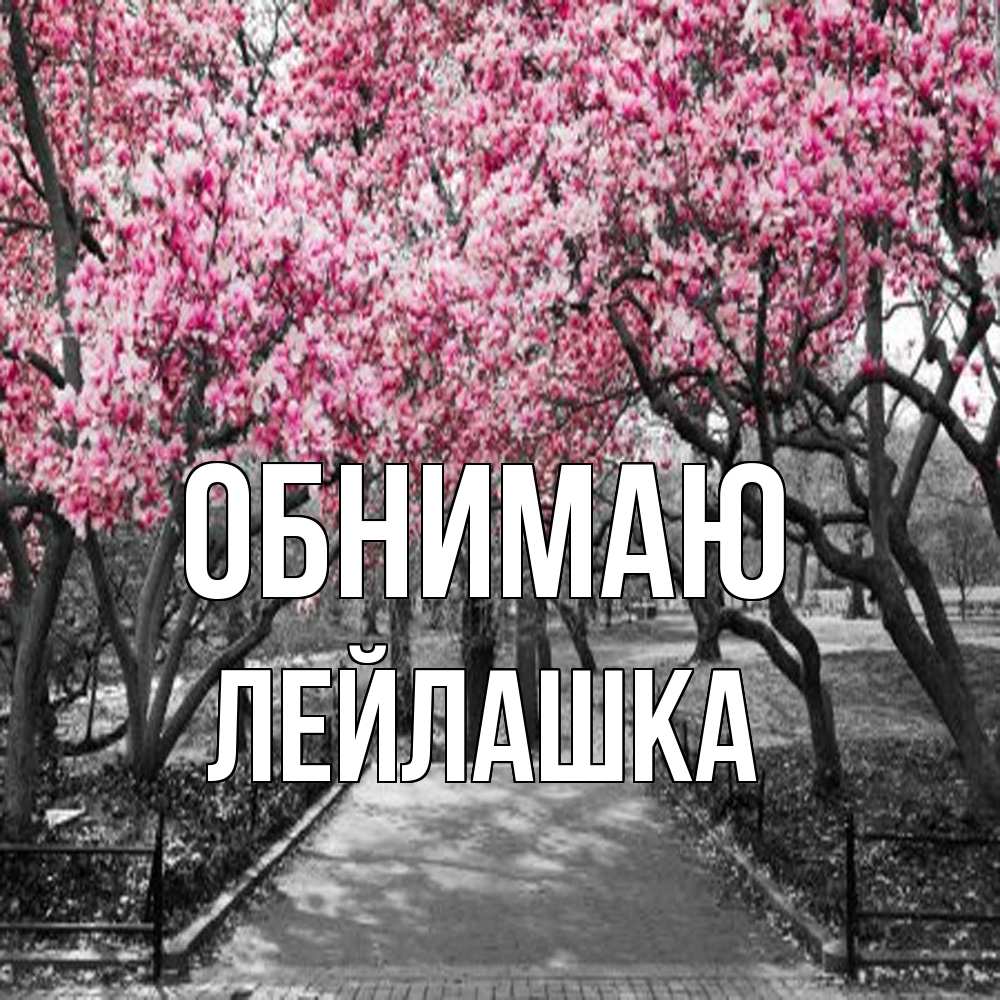 Открытка  с именем. Лейлашка, Обнимаю  