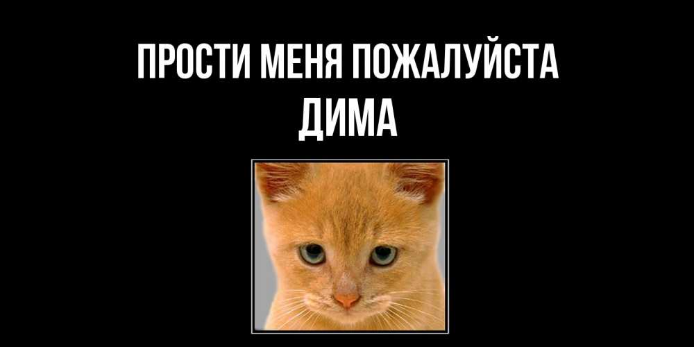 Открытка  с именем. Дима, Прости меня пожалуйста  