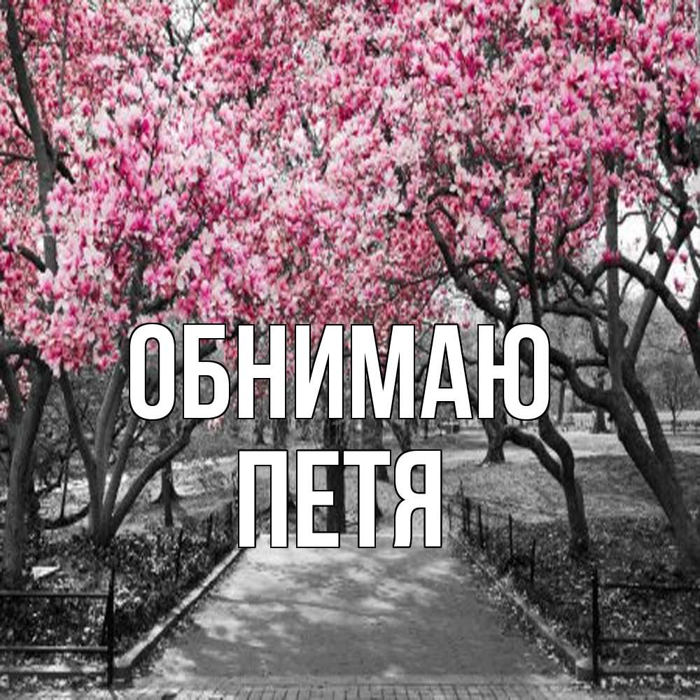 Открытка  с именем. Петя, Обнимаю  
