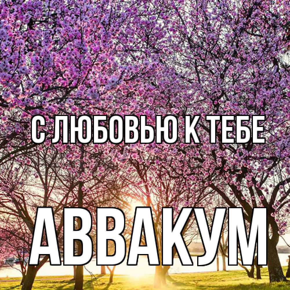 Открытка  с именем. Аввакум, С любовью к тебе  