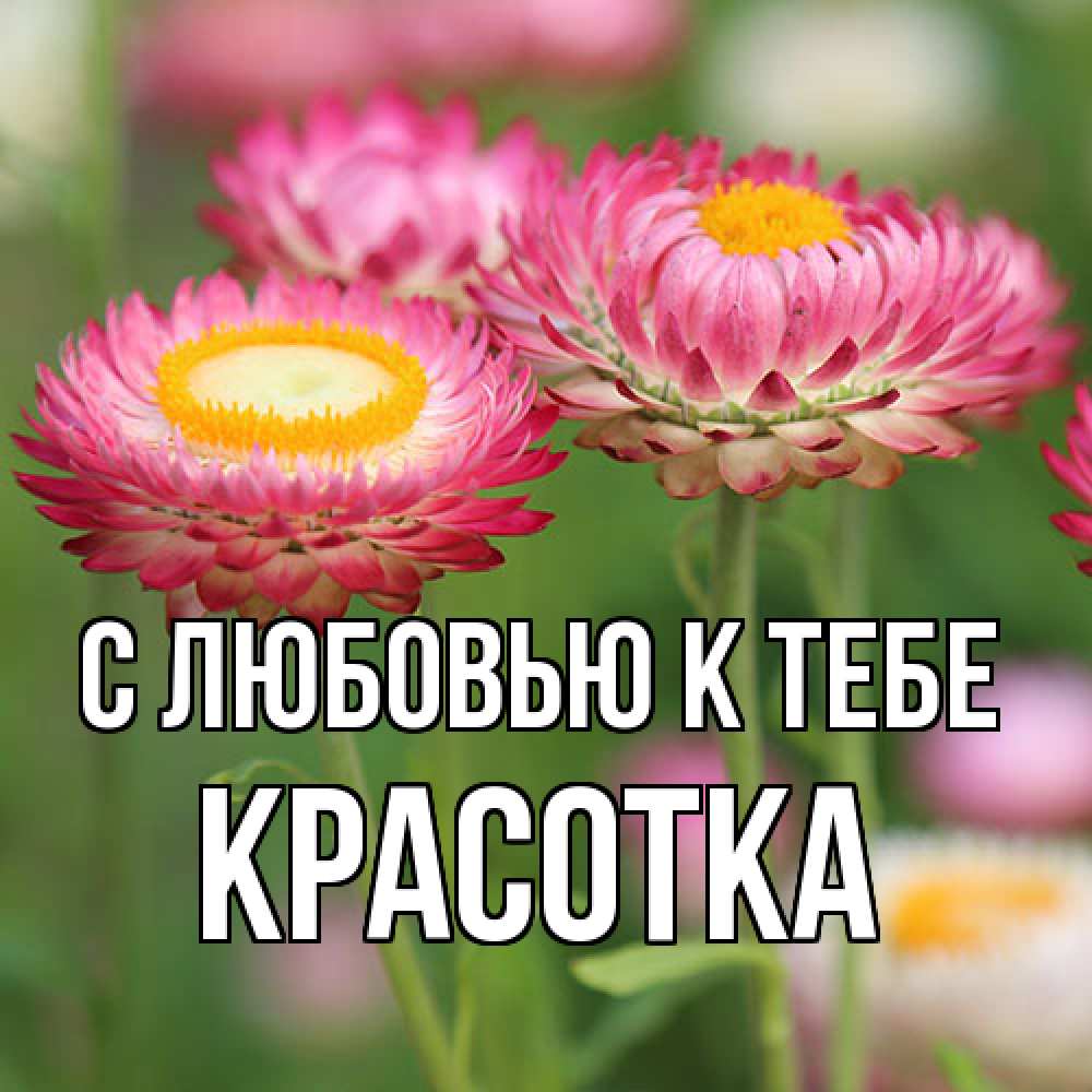 Открытка  с именем. Красотка, С любовью к тебе  