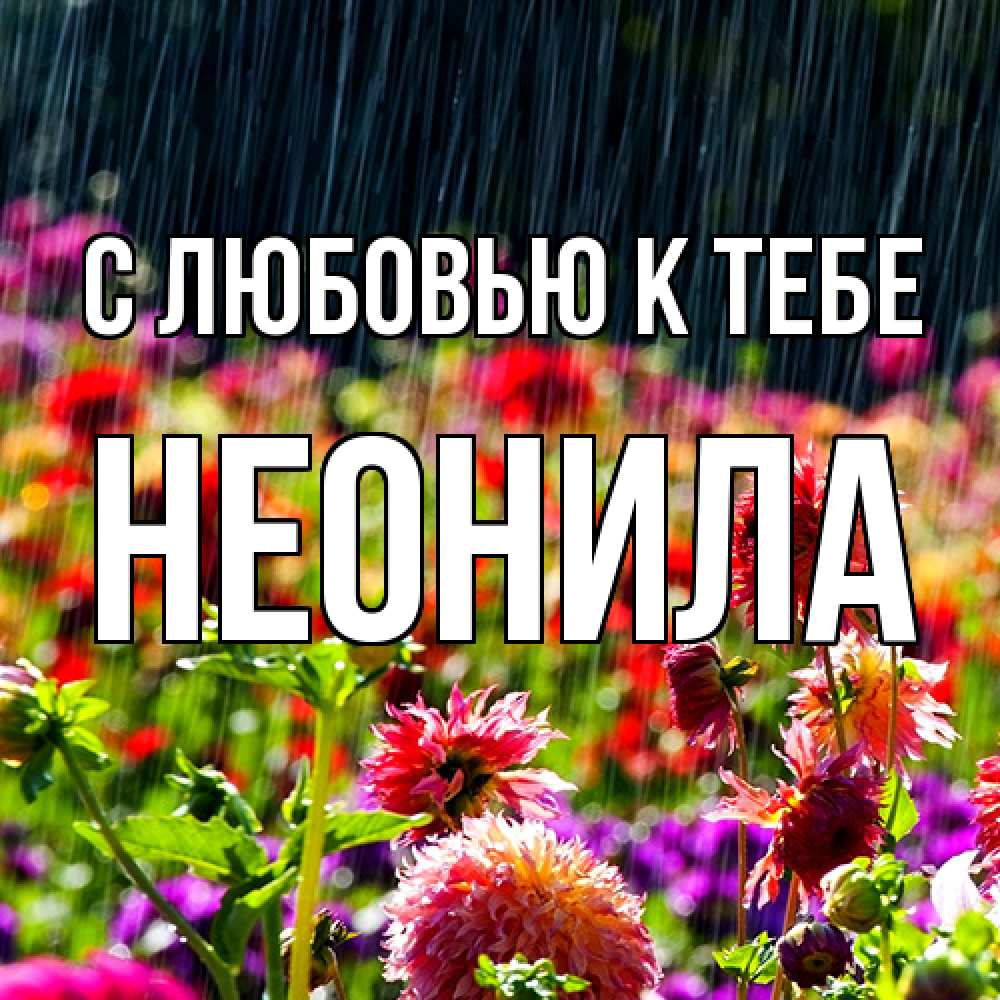 Открытка  с именем. Неонила, С любовью к тебе  