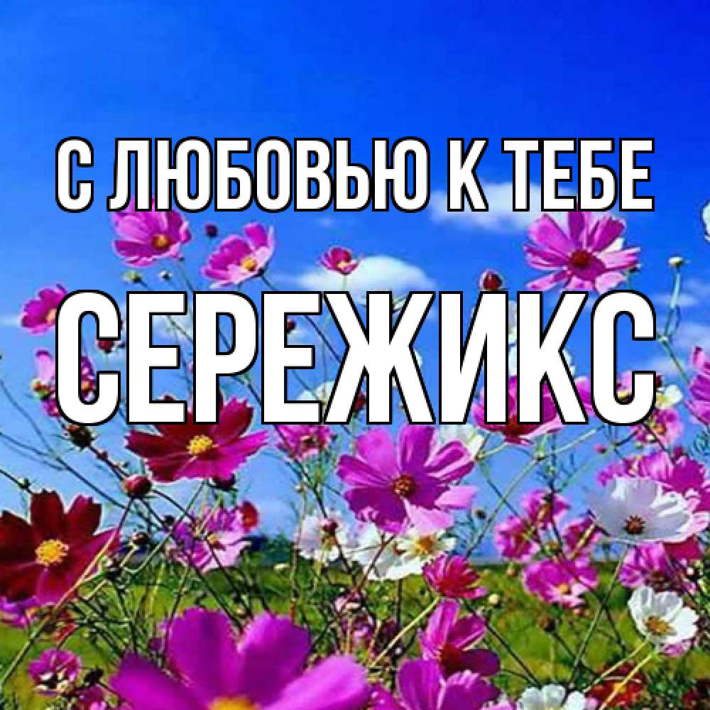 Открытка  с именем. Сережикс, С любовью к тебе  