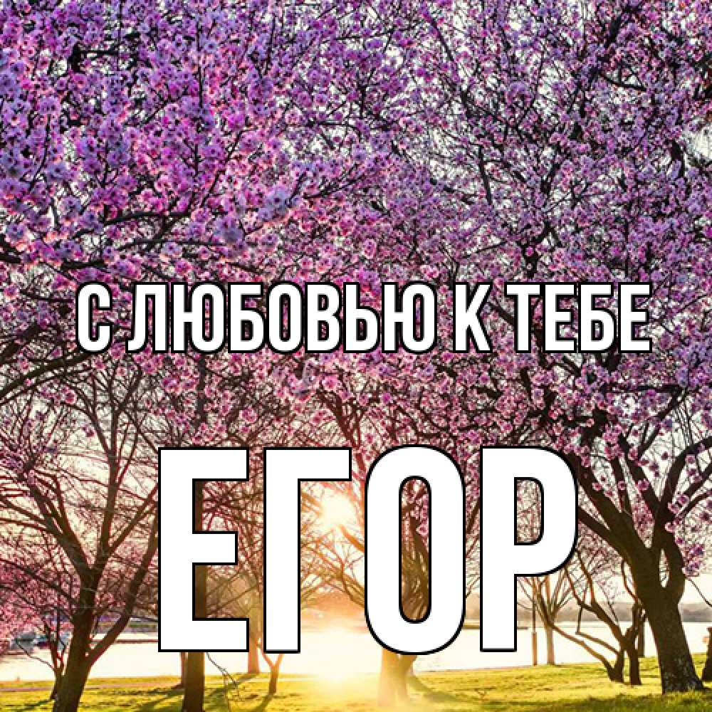 Открытка  с именем. Егор, С любовью к тебе  