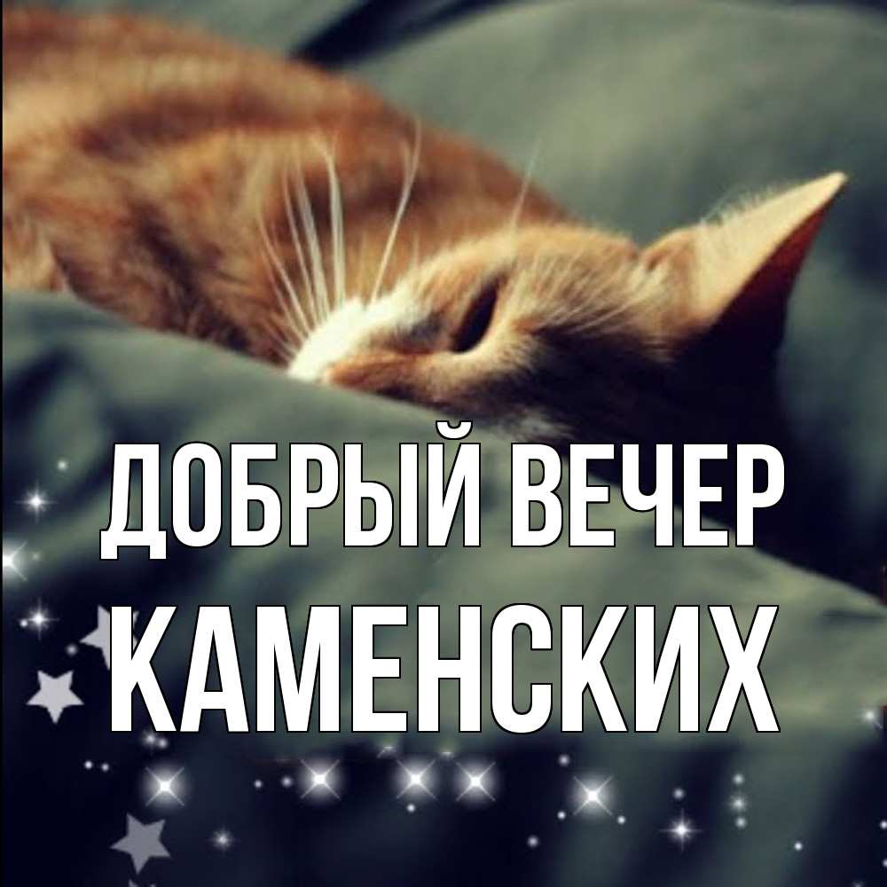 Открытка  с именем. Каменских, Добрый вечер  