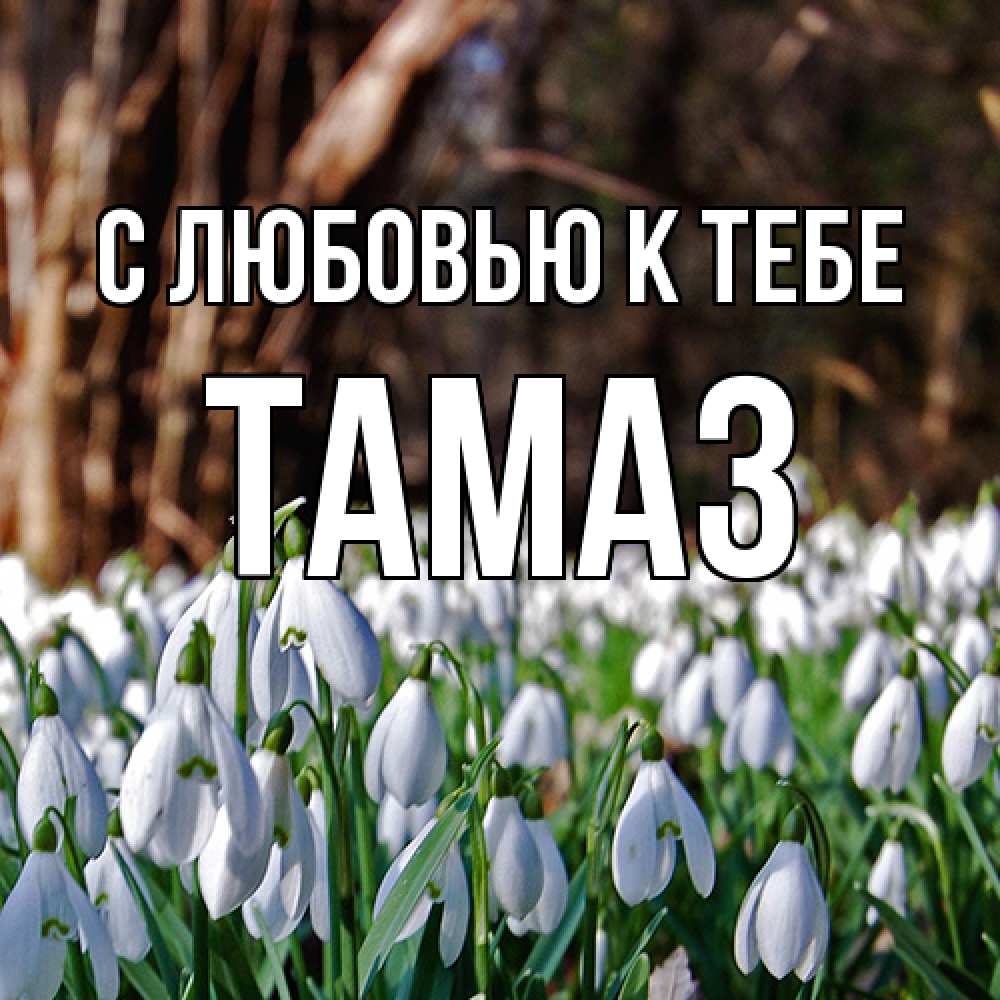 Открытка  с именем. Тамаз, С любовью к тебе  