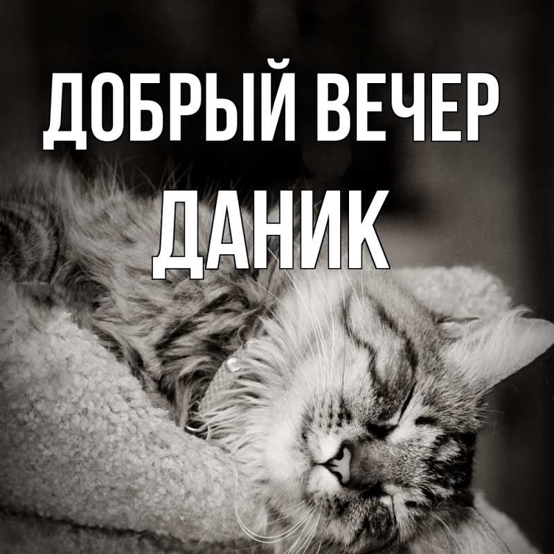 Картинка Добрый вечер, Даник