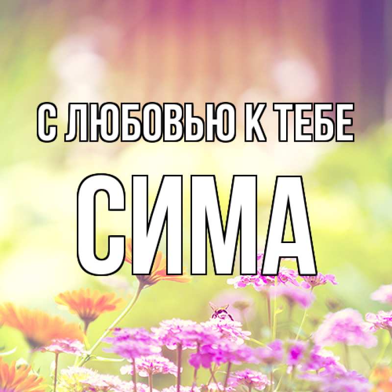 Картинка С любовью к тебе, Сима