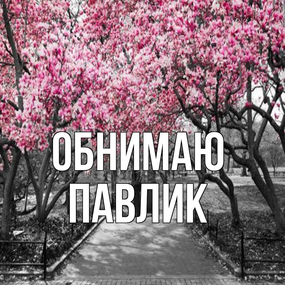 Открытка  с именем. Павлик, Обнимаю  