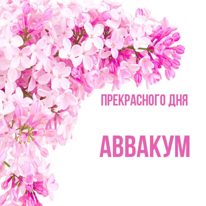 Картинка Прекрасного дня, Аввакум
