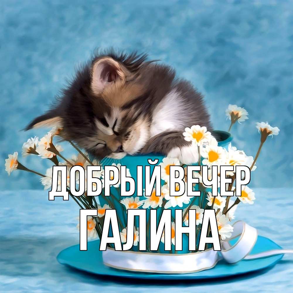 Открытка  с именем. Галина, Добрый вечер  