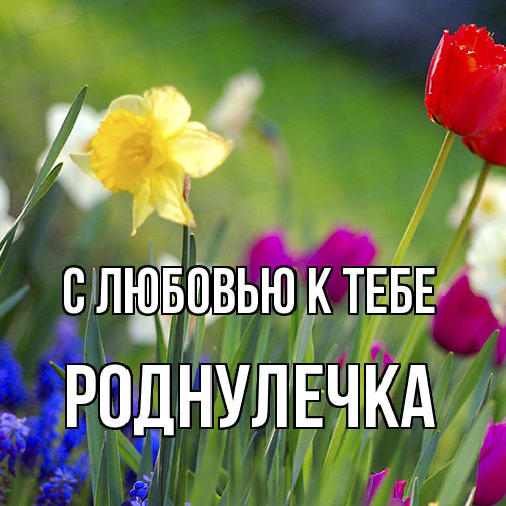 Открытка  с именем. Роднулечка, С любовью к тебе  