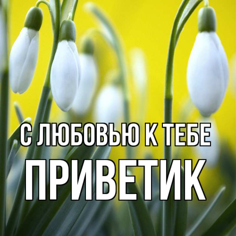 Картинка С любовью к тебе, приветик