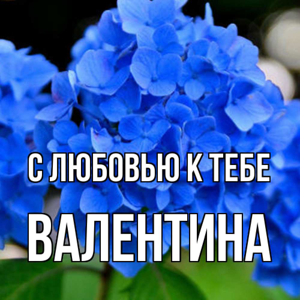 Открытка  с именем. валентина, С любовью к тебе  