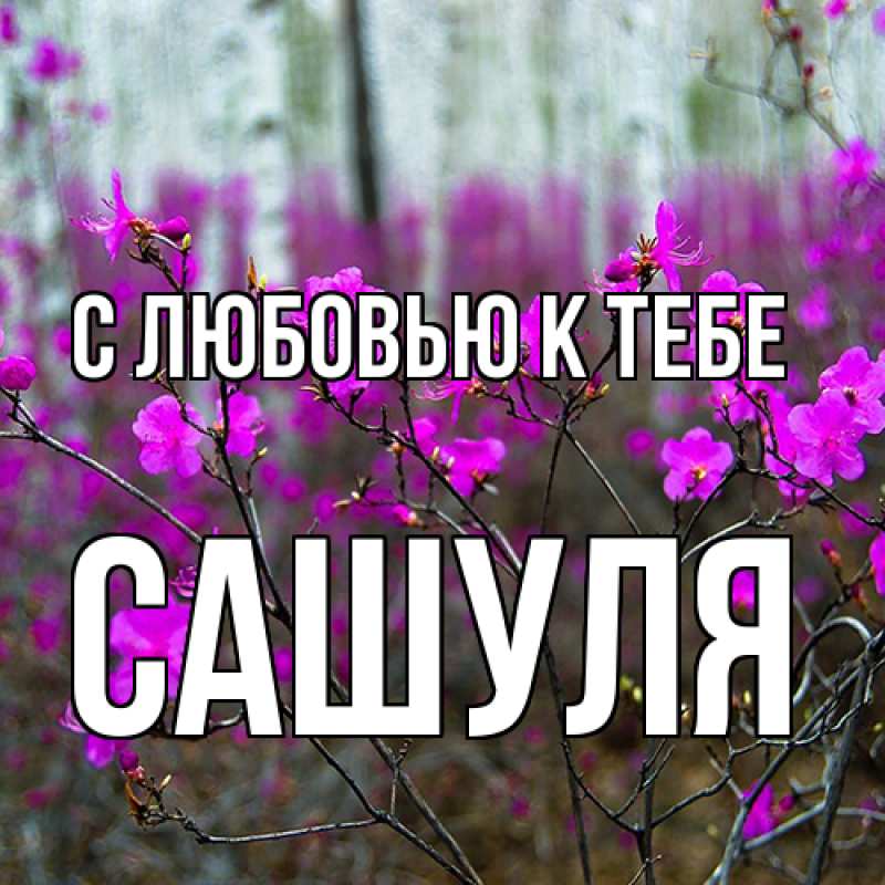 Картинка С любовью к тебе, Сашуля