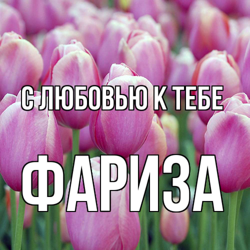 Открытка  с именем. Фариза, С любовью к тебе  