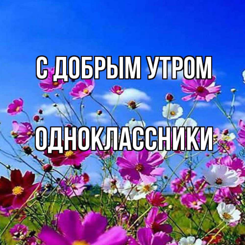 Открытка  с именем. Одноклассники, С добрым утром  