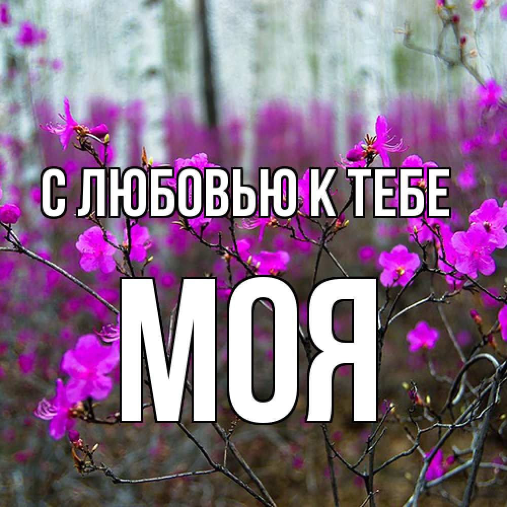 Открытка  с именем. Моя, С любовью к тебе  