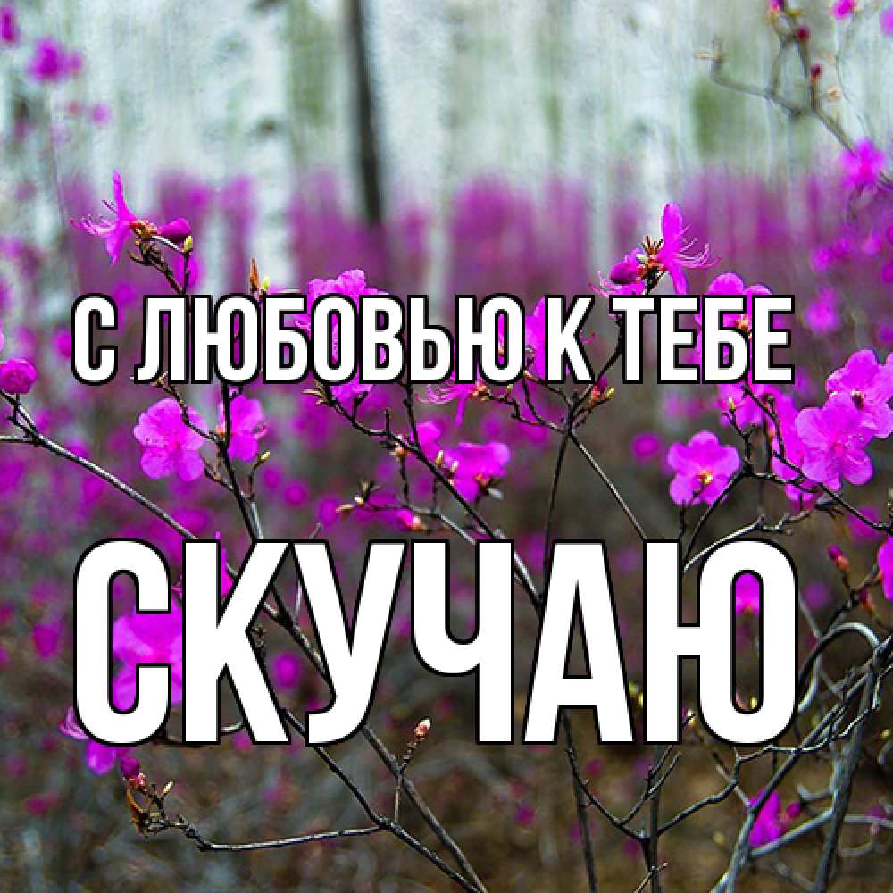 Открытка  с именем. Скучаю, С любовью к тебе  