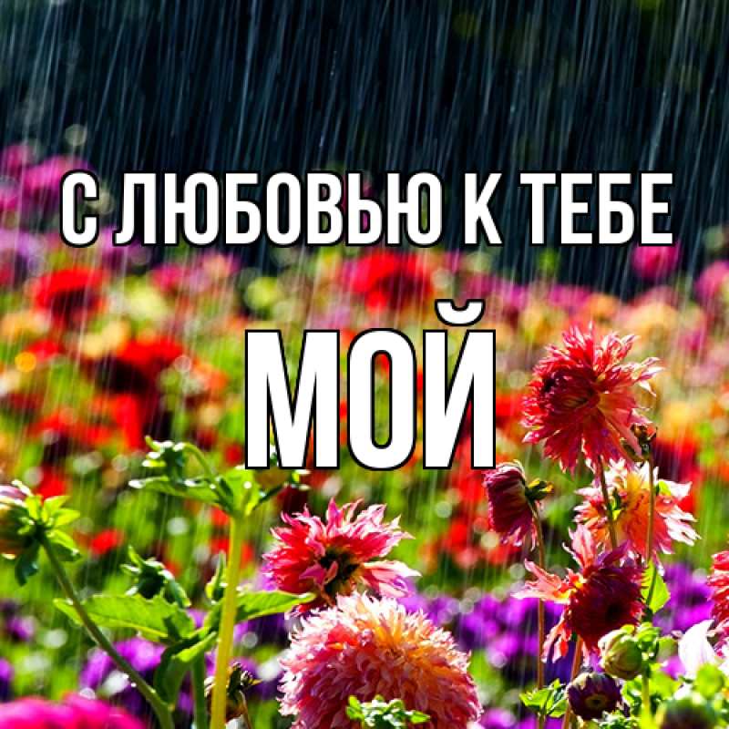 Картинка С любовью к тебе, Мой