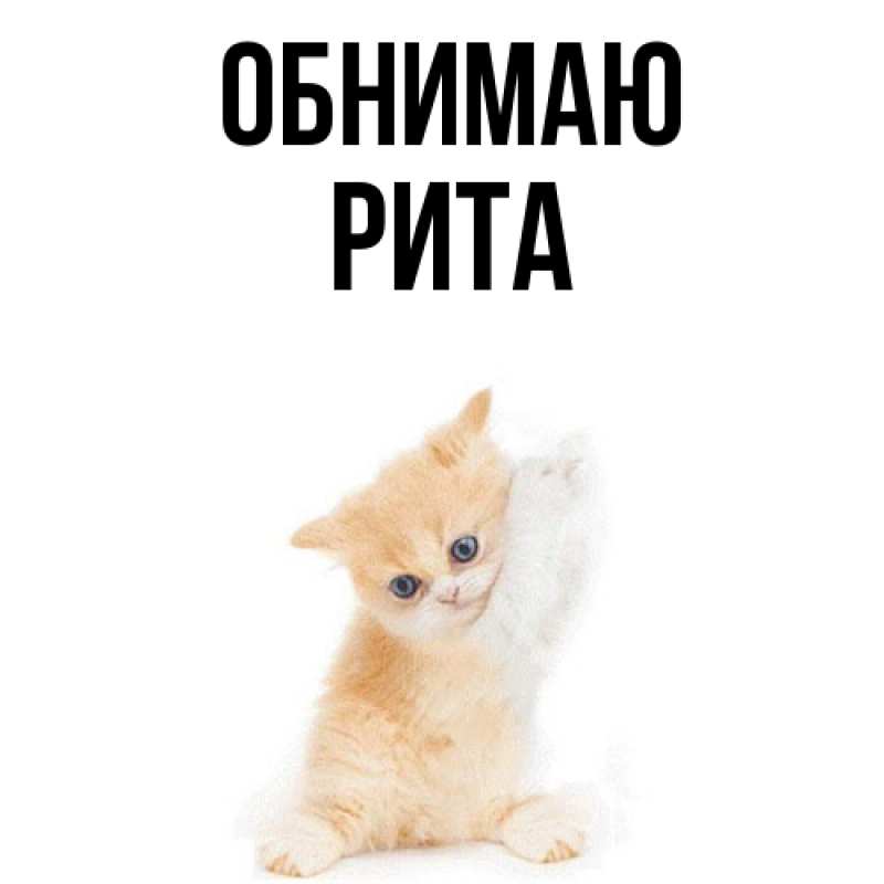 Картинка Обнимаю, Рита