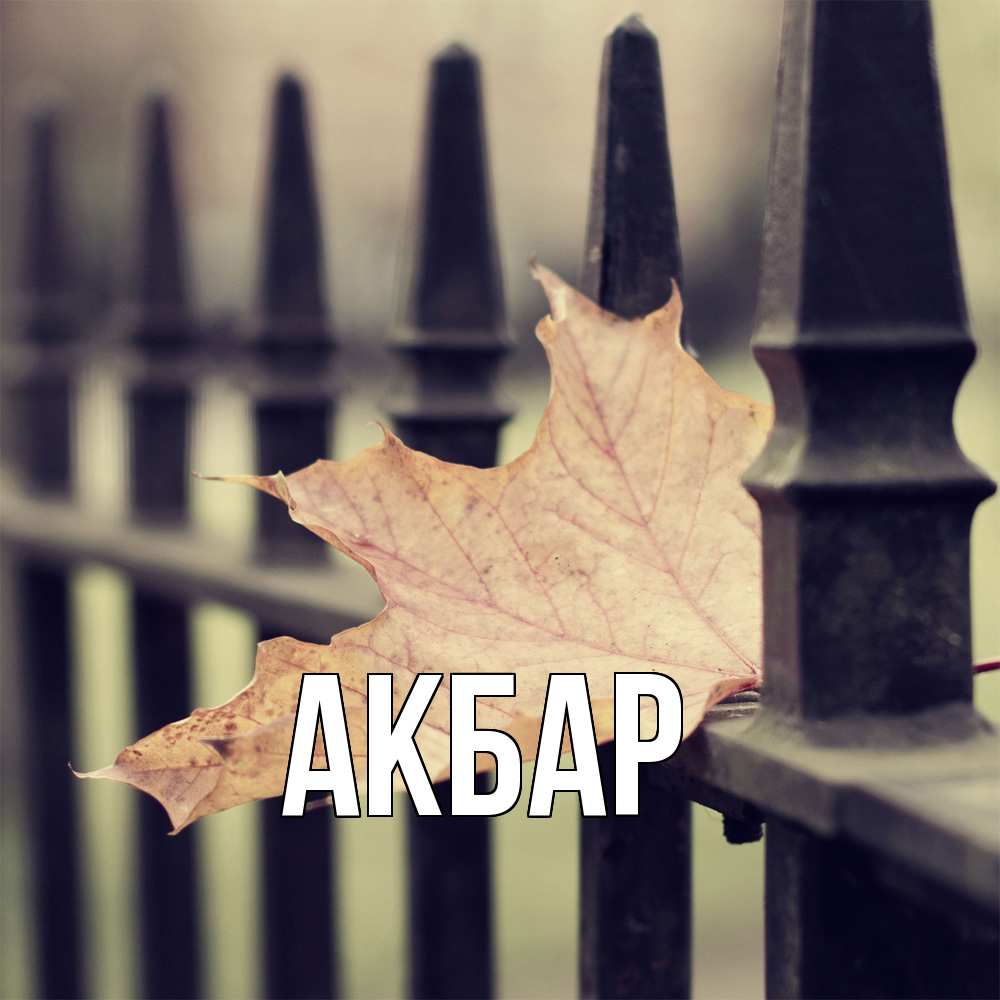 Открытка  с именем. Акбар, Главная  