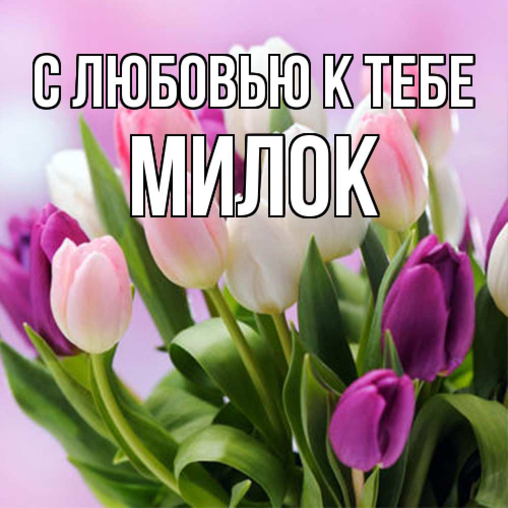 Открытка  с именем. Милок, С любовью к тебе  