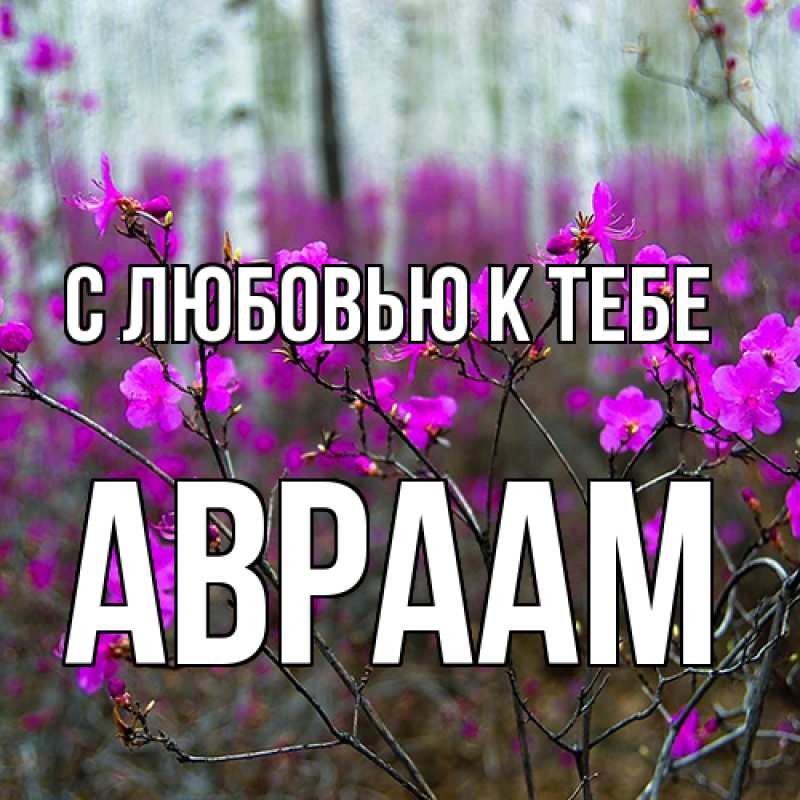 Картинка С любовью к тебе, Авраам