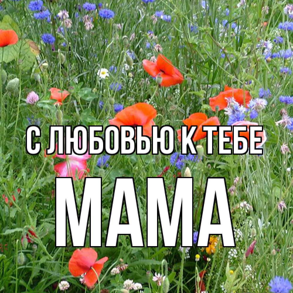 Открытка  с именем. Мама, С любовью к тебе  