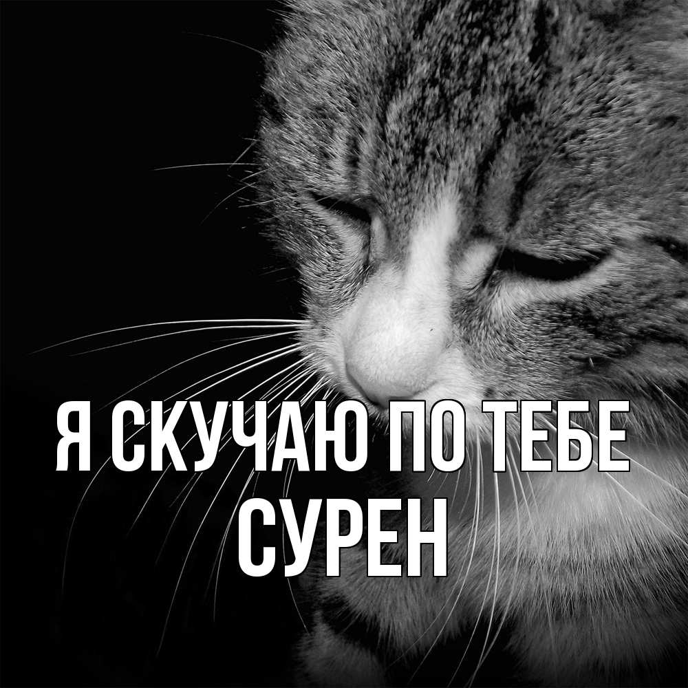 Открытка  с именем. Сурен, Я скучаю по тебе  