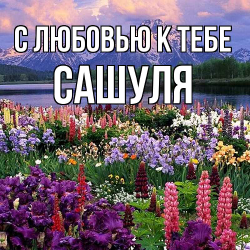 Картинка С любовью к тебе, Сашуля