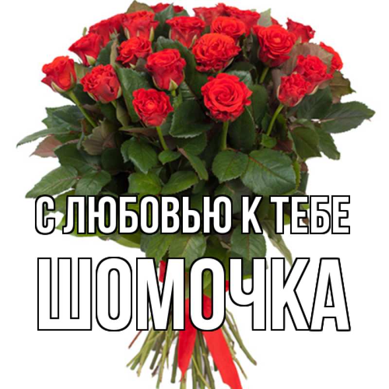 Картинка С любовью к тебе, Шомочка