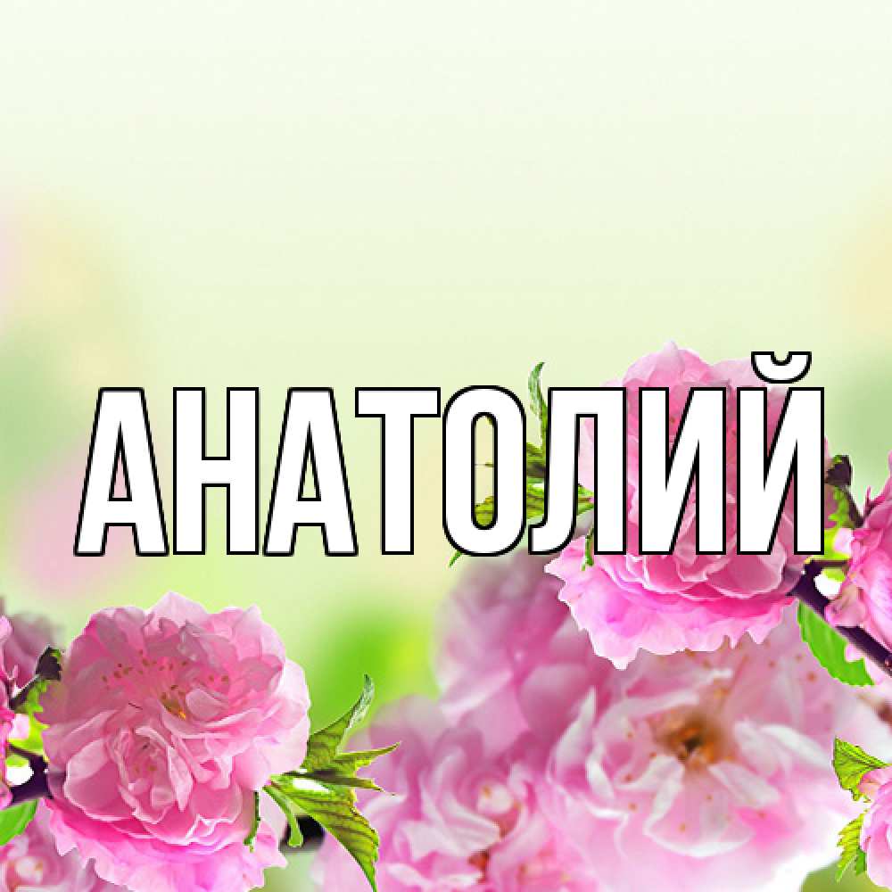 Открытка  с именем. Анатолий, Главная  